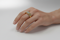 DJR-C66 RING IN GOLD