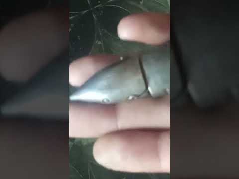 Starling Silver Shark Braclet