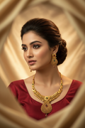 ANSS27g(gold)