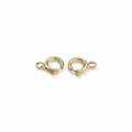 O Ring Lock (Gold)