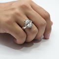 अंगूठी Ring6.43g17no.(in silver)