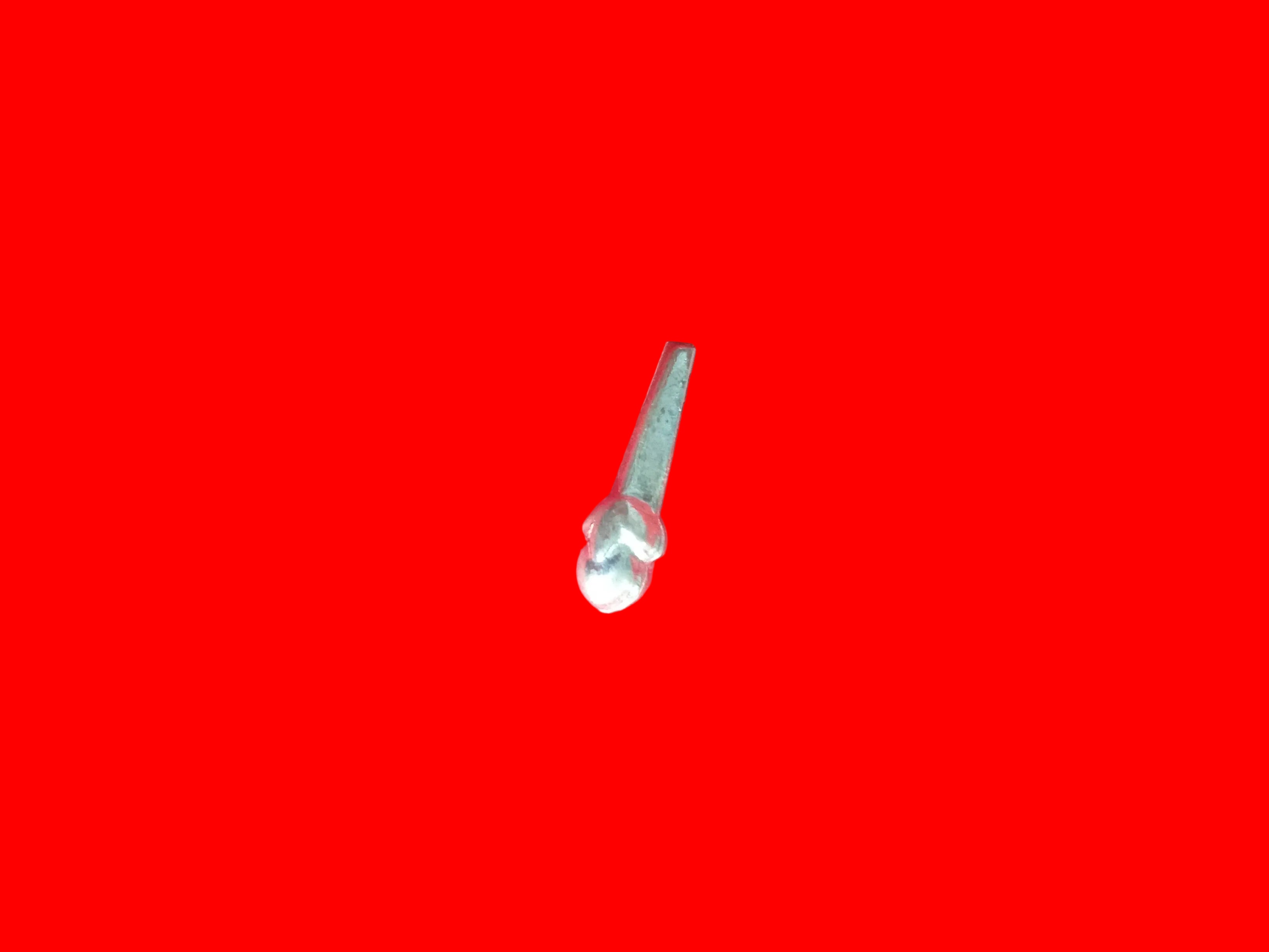 लौंग Cloves1.02g2cm(in Silver)