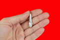 लौंग Cloves1.02g2cm(in Silver)