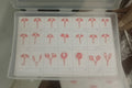 Wax mold pcs (Raw)