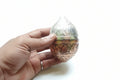 नारियल coconut 41.07g4x2.5"(in silver)